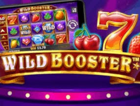 Wild Booster slot game