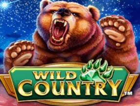 Wild Country slot game