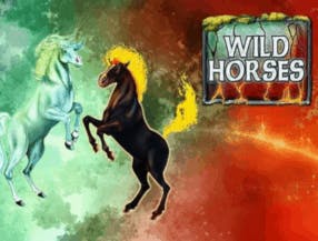 Wild Horses screenplay Wild Horses slot game