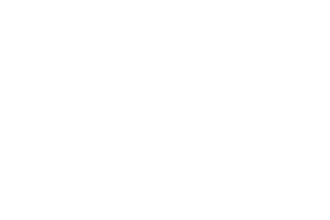Wild Streak Gaming provider