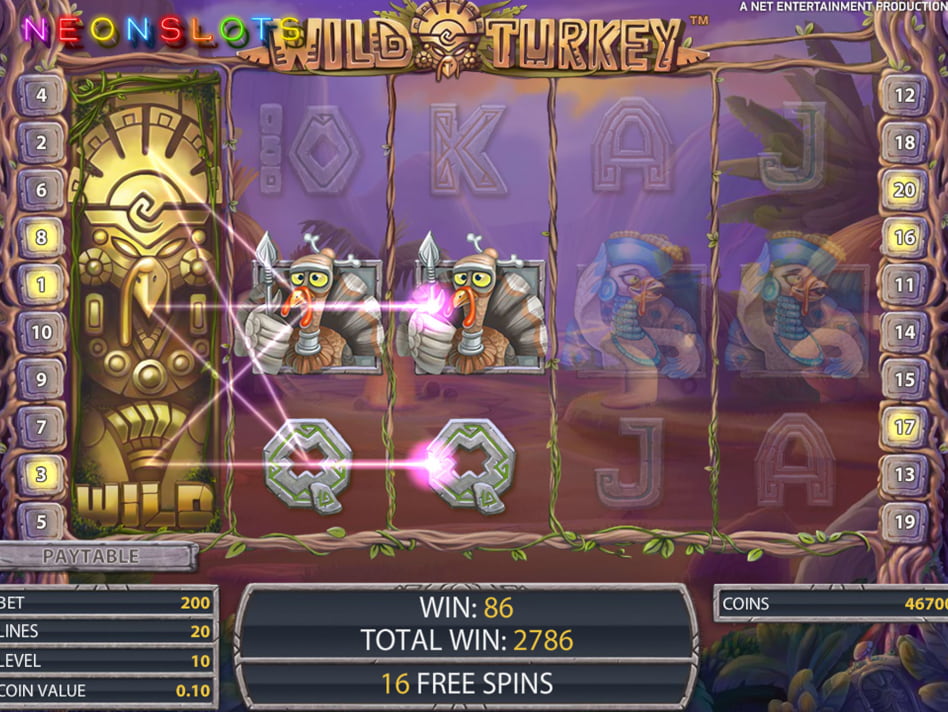 Wild Turkey screenplay Wild Turkey slot game