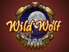 Wild Wolf screenplay Wild Wolf slot game