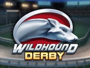 Wildhound Derby slot game