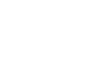 WMS provider