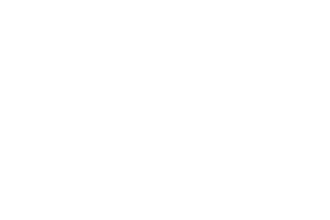 WMS WMS provider