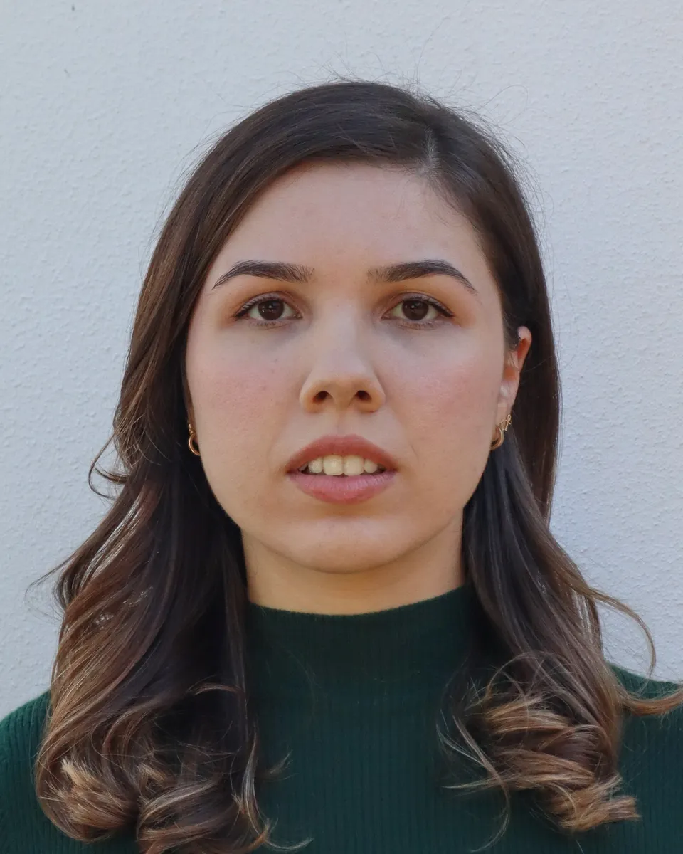Ada Demir