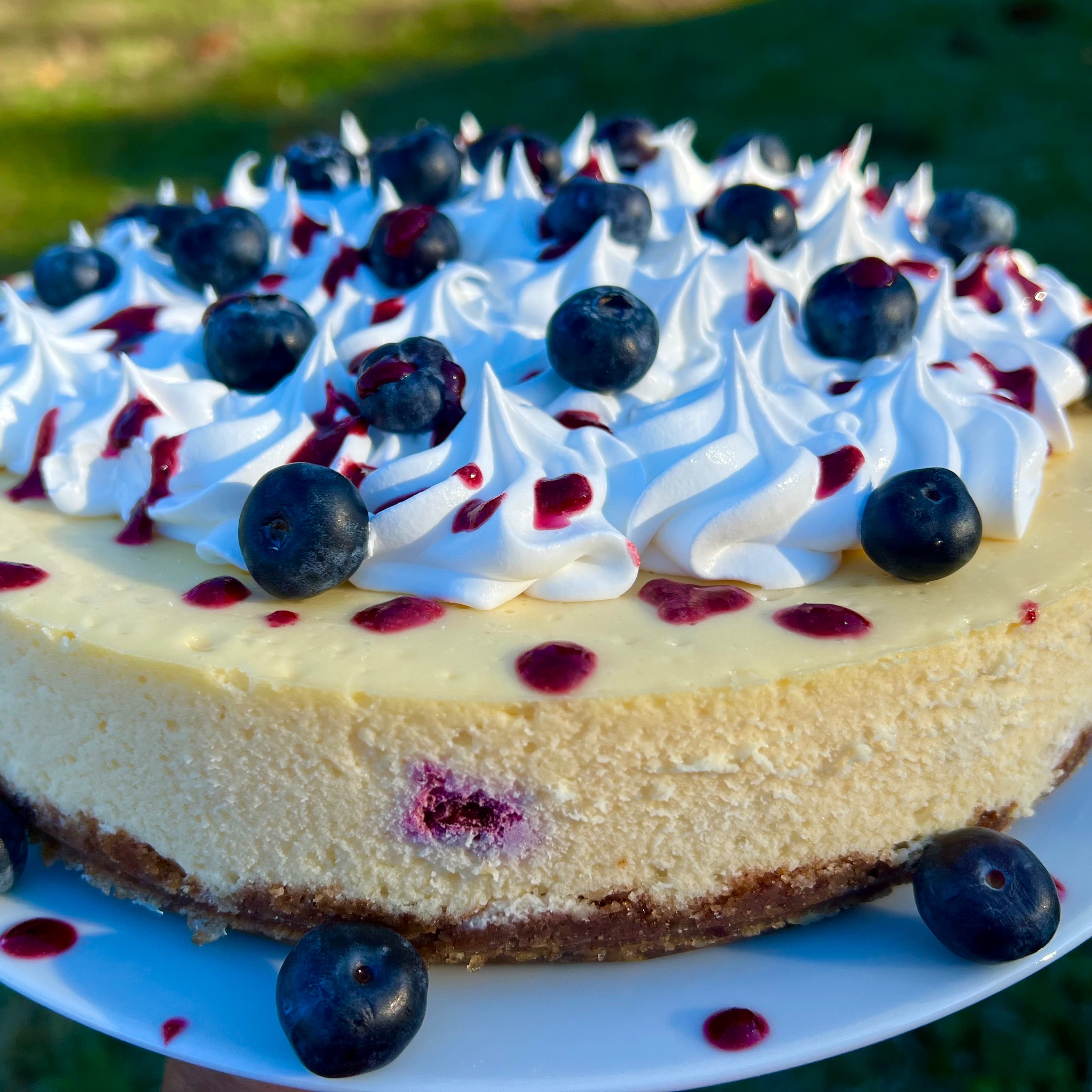 Blueberry Cheesecake 9”