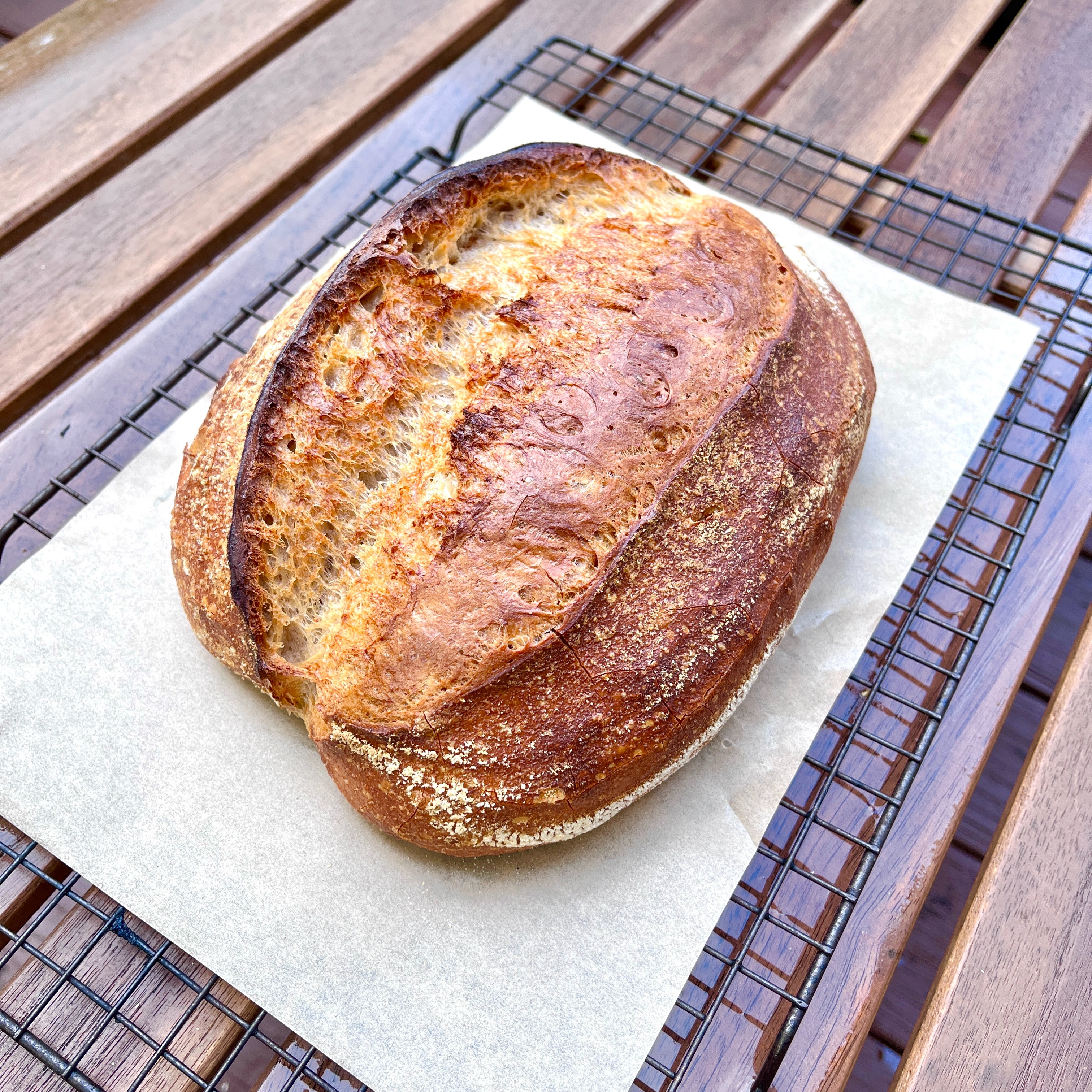 Everyday Sourdough Bread