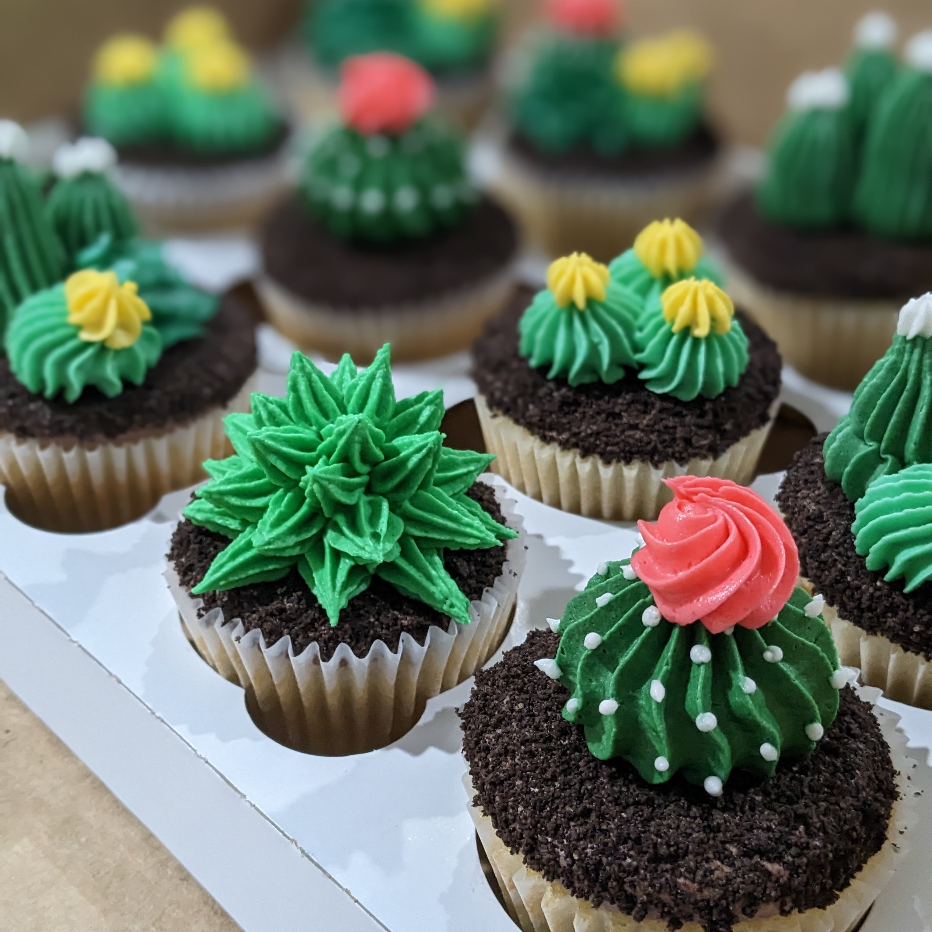 Buttercream Piping Class: Cactus Cupcakes (Afternoon session) - Single station