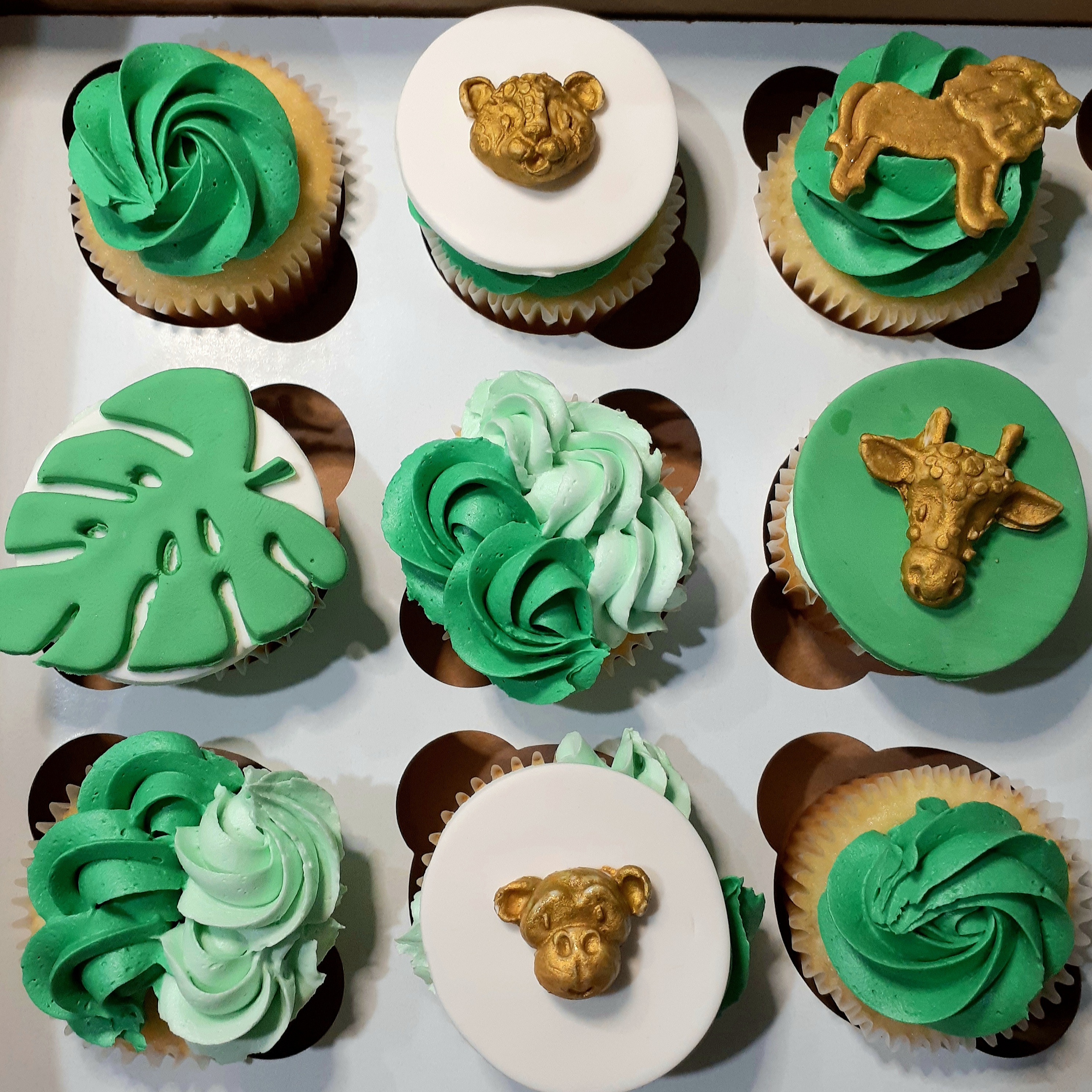 Wild One Cupcakes