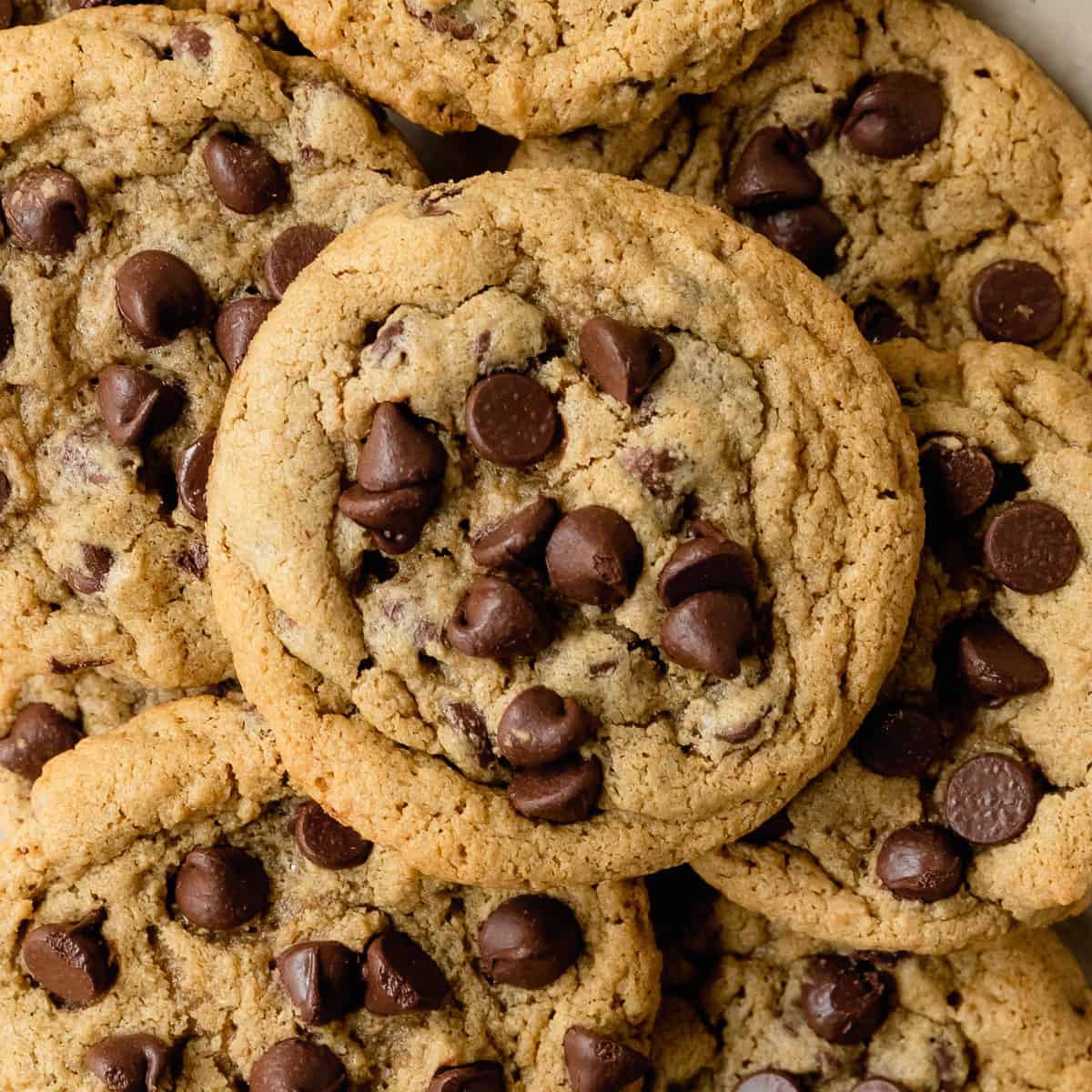 Oatmeal Flour Milk Chocolate Chip Cookies (9ct)