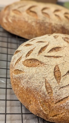 Sourdough Bread 