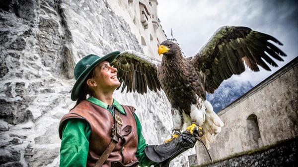 Hohenwerfen Castle - Falcon show gallery thumbnail