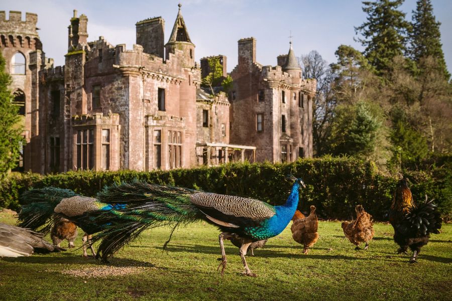 Culdees Castle Estate Ltd.  - Castle cover photo