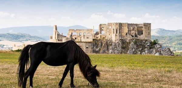 Beckov Castle - Hrad Beckov gallery thumbnail