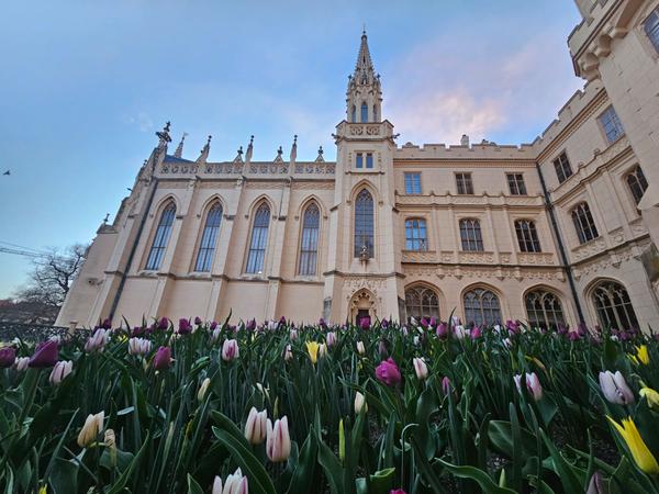 LEDNICE CASTLE - Outdoors gallery thumbnail