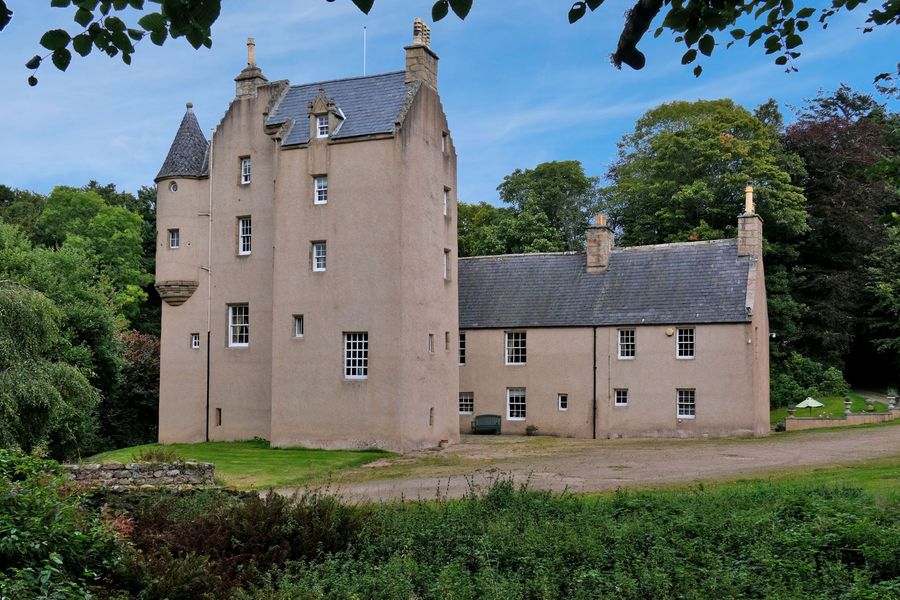 Lickleyhead Castle - Castle cover photo