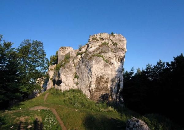 Bąkowiec Castle - Outdoors gallery thumbnail