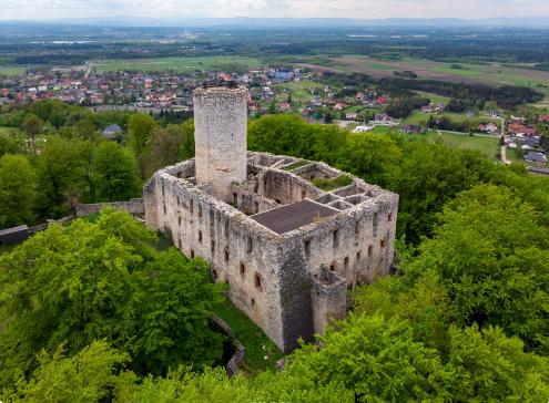 Lipowiec Castle - Outdoors gallery thumbnail