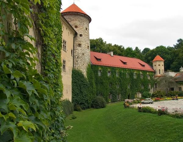 Pieskowa Skała Castle - Pieskowa Skala castle  gallery thumbnail