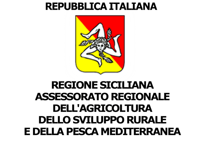 Sponsor 2