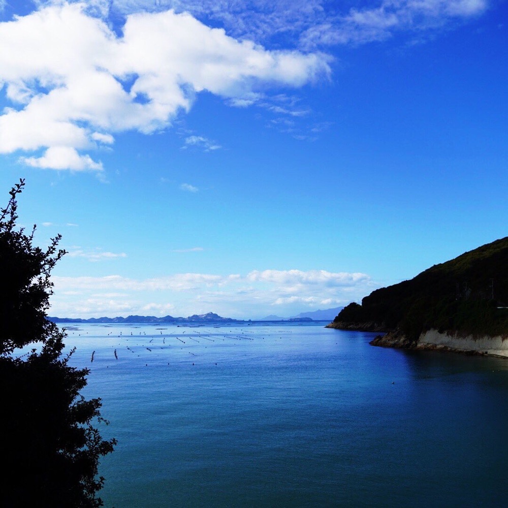 投稿された画像