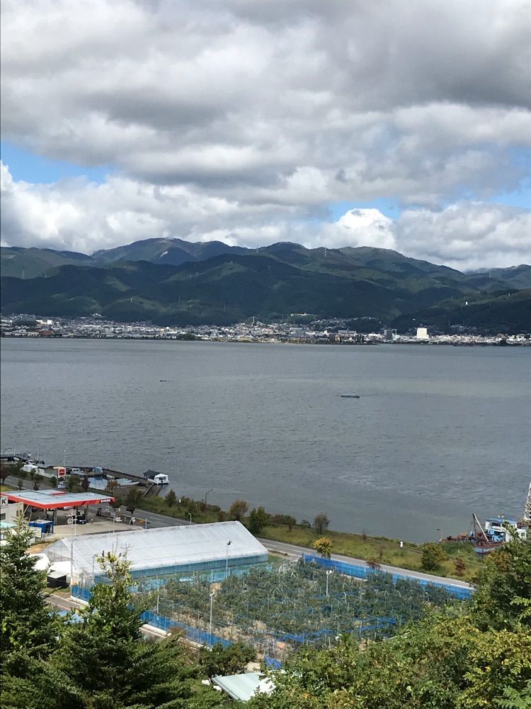 投稿された画像
