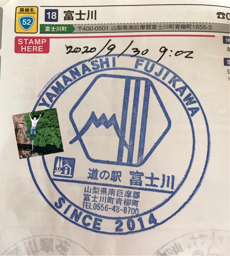 投稿された画像