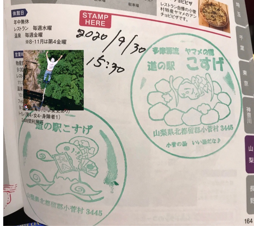 投稿された画像
