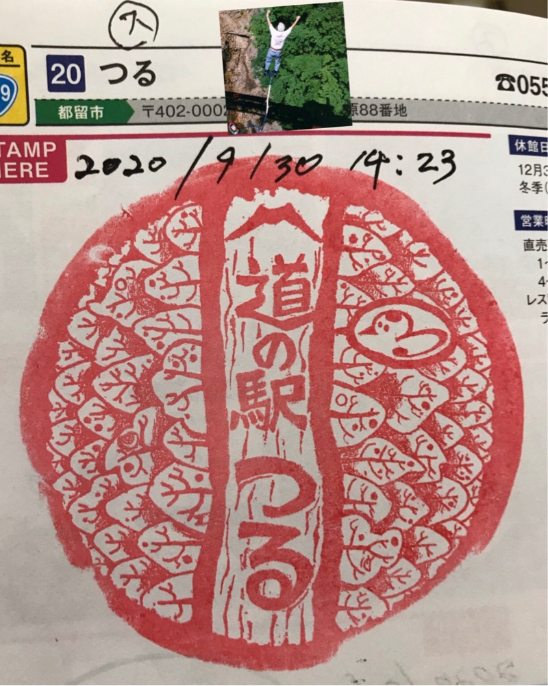 投稿された画像