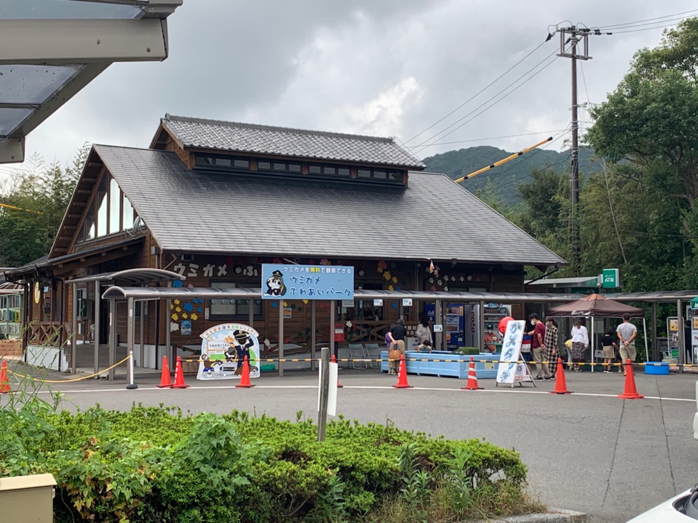 投稿された画像
