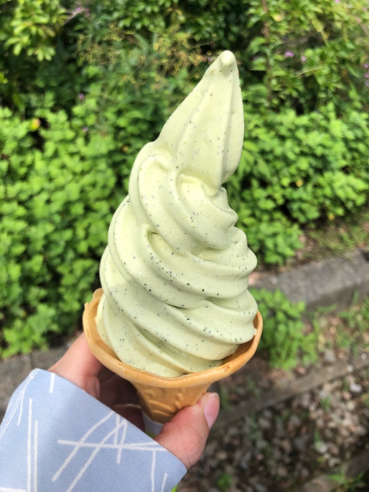 投稿された画像