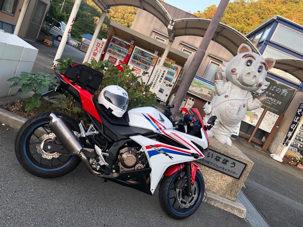 投稿された画像