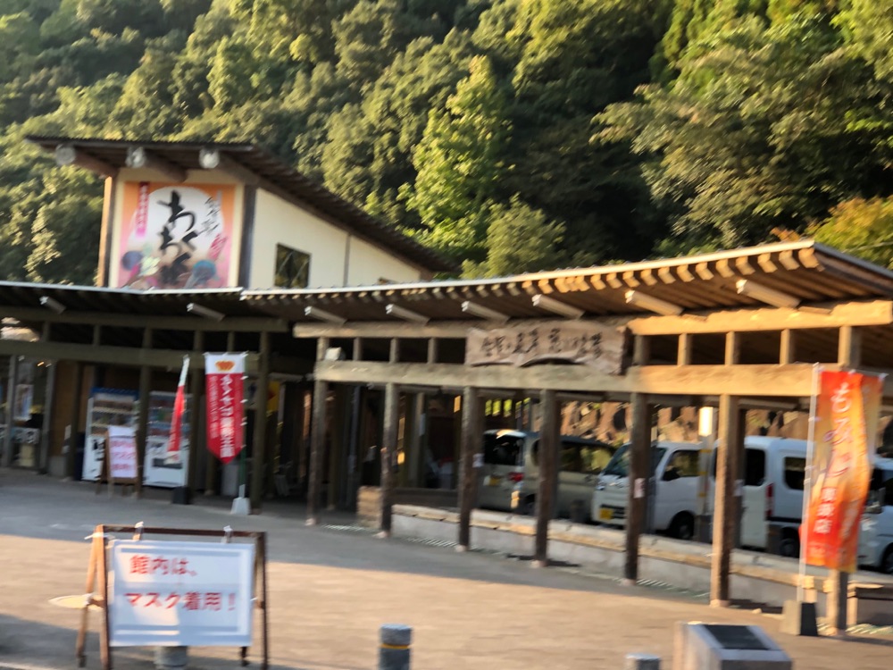 投稿された画像