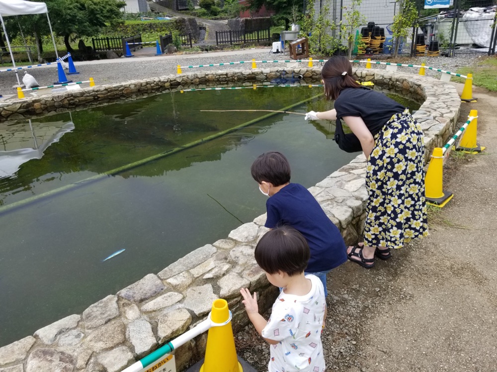 投稿された画像