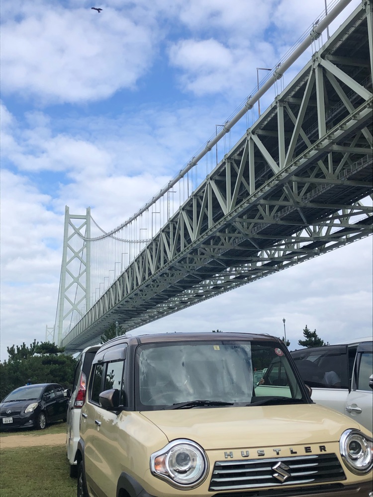投稿された画像