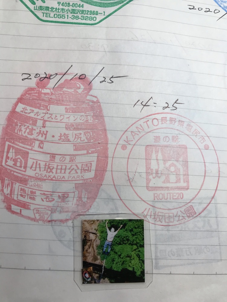 投稿された画像