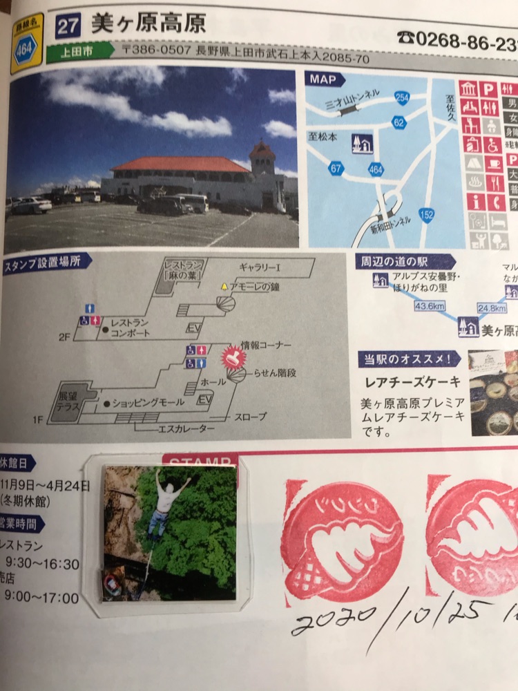 投稿された画像