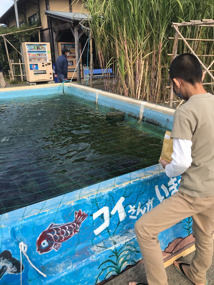 投稿された画像