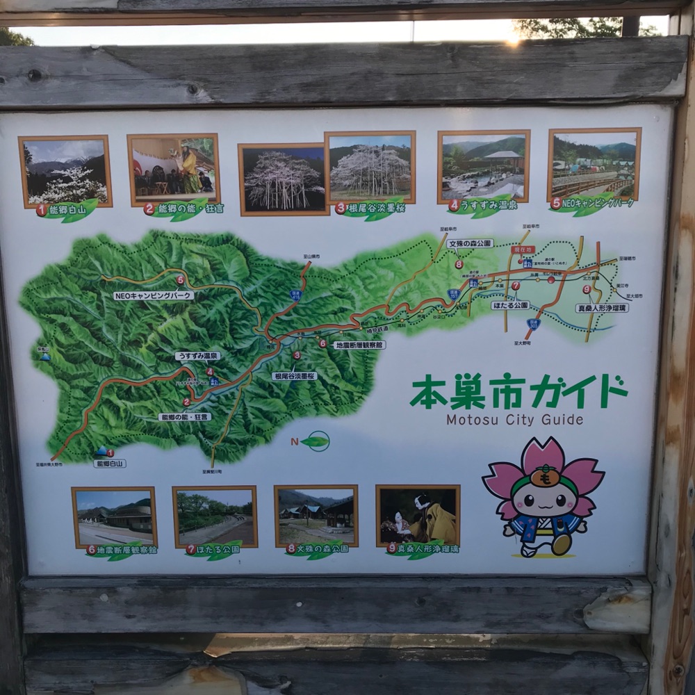 投稿された画像
