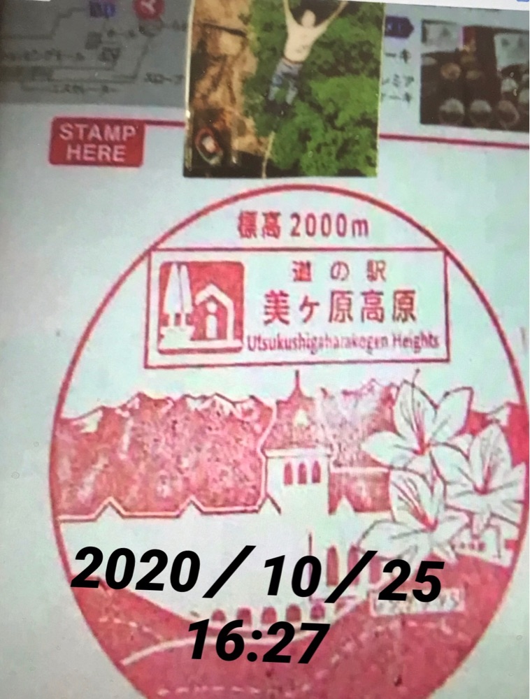 投稿された画像