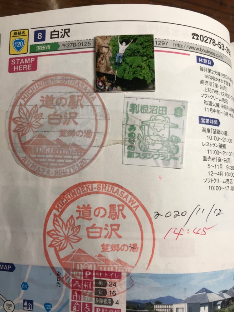 投稿された画像