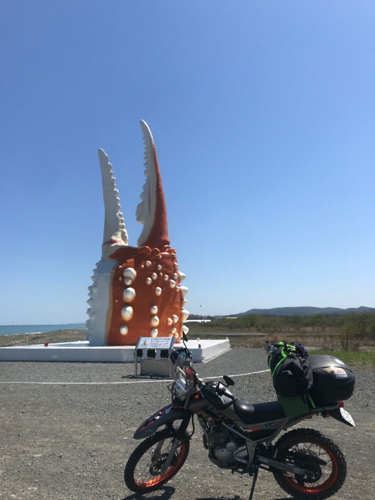 投稿された画像