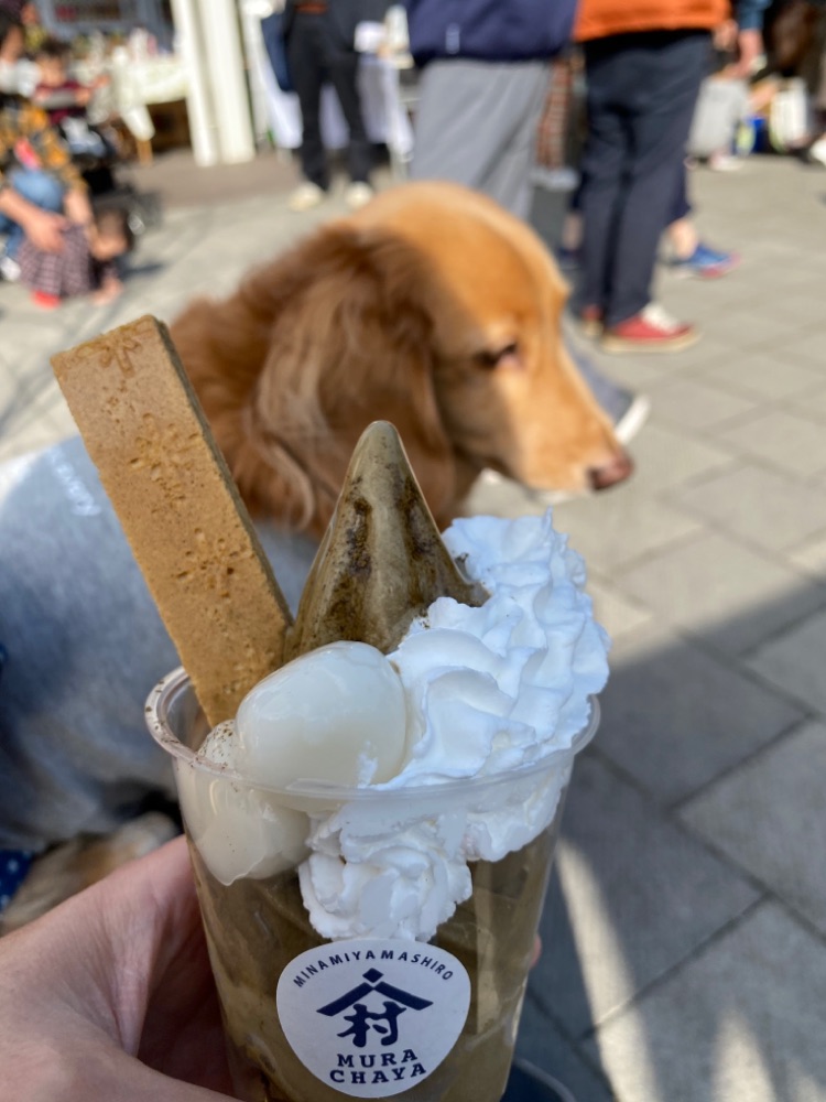 投稿された画像