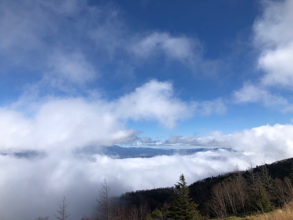 投稿された画像