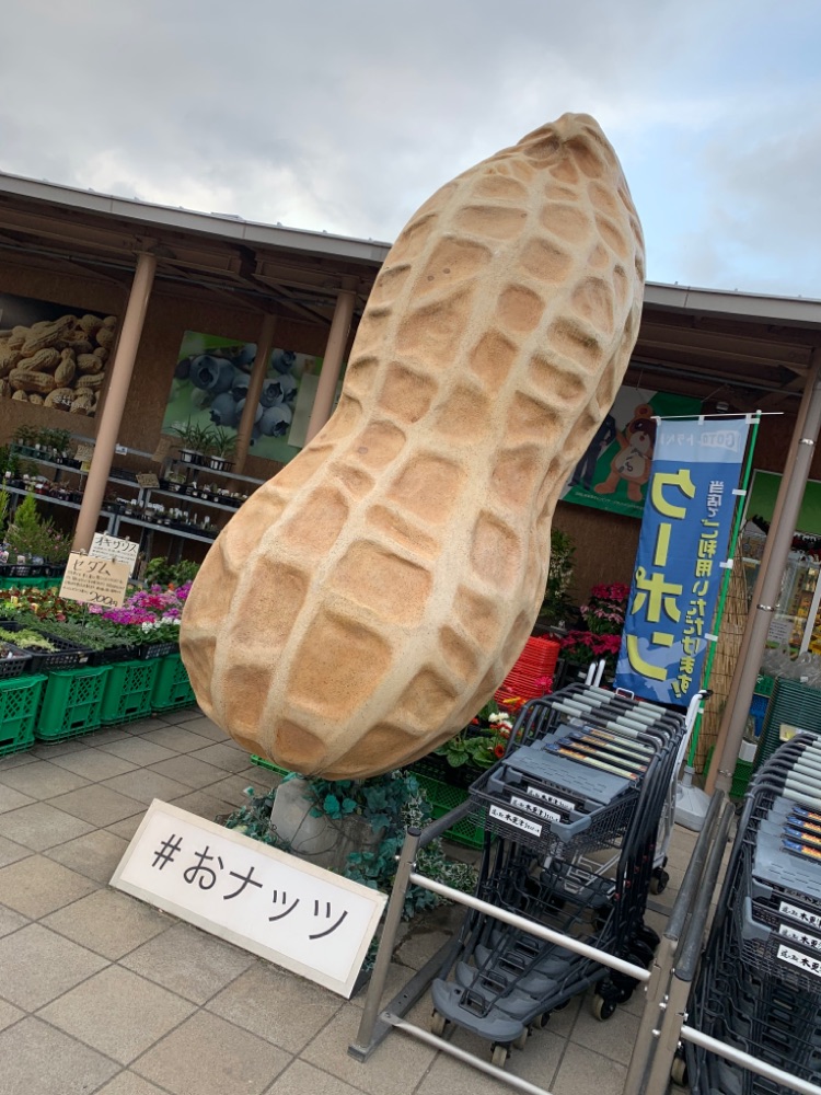投稿された画像