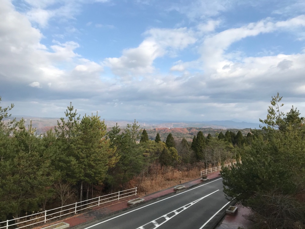 投稿された画像