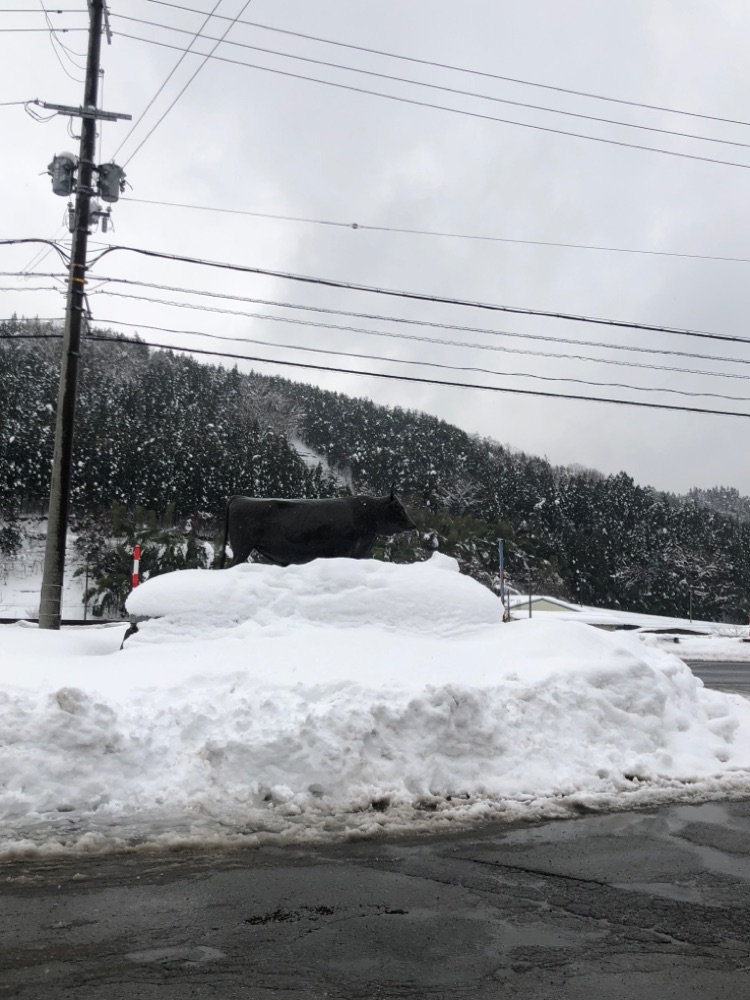 投稿された画像