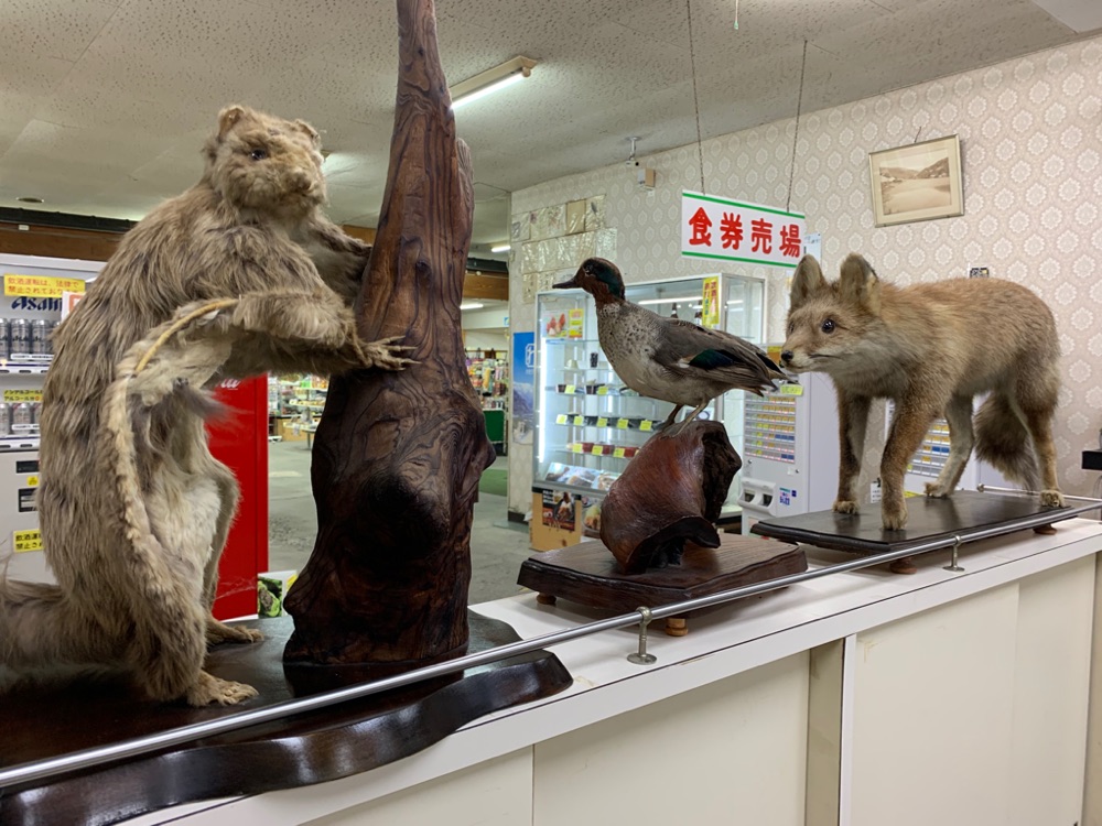 投稿された画像