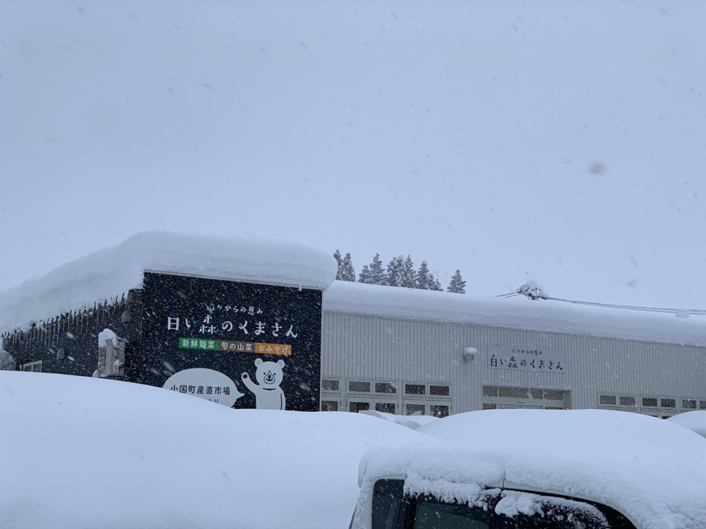 投稿された画像